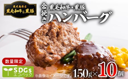 【1500g】黒毛和牛・黒豚生ハンバーグ トレー無しSDGs K086-018 薩摩 さつま 鹿児島県 鹿児島市 鹿児島 大人気ハンバーグ 人気ハンバーグ 大人気生ハンバーグ 人気生ハンバーグ 大人気黒豚 人気黒豚 大人気黒毛和牛 人気黒毛和牛 ハンバーグ 生ハンバーグ 黒豚 黒毛和牛 牛 豚 合挽き かごしま黒豚 肉汁 絶品 食品 加工品 加工肉 冷凍 合い挽き