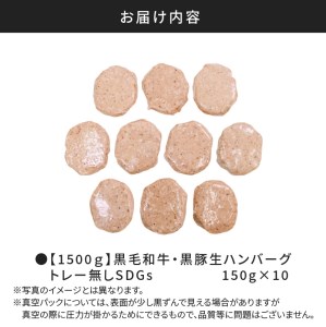 【1500g】黒毛和牛・黒豚生ハンバーグ トレー無しSDGs K086-018 薩摩 さつま 鹿児島県 鹿児島市 鹿児島 大人気ハンバーグ 人気ハンバーグ 大人気生ハンバーグ 人気生ハンバーグ 大人気黒豚 人気黒豚 大人気黒毛和牛 人気黒毛和牛 ハンバーグ 生ハンバーグ 黒豚 黒毛和牛 牛 豚 合挽き かごしま黒豚 肉汁 絶品 食品 加工品 加工肉 冷凍 合い挽き