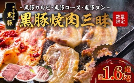 【1.6kg超】黒豚焼肉三昧 K086-026 薩摩 さつま 鹿児島県 鹿児島市 鹿児島 大人気焼肉 人気焼肉 大人気黒豚 人気黒豚 大人気カルビ 人気カルビ 大人気ロース 人気ロース 大人気タン 人気タン 焼肉 黒豚 かごしま黒豚 カルビ 豚カルビ ロース 豚ロース タン 豚タン セット お肉 肉 食品 グルメ キャンプ アウトドア 焼肉丼 冷凍