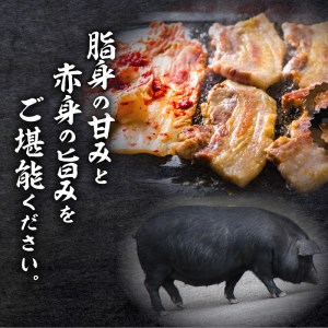 【1.6kg超】黒豚焼肉三昧 K086-026 薩摩 さつま 鹿児島県 鹿児島市 鹿児島 大人気焼肉 人気焼肉 大人気黒豚 人気黒豚 大人気カルビ 人気カルビ 大人気ロース 人気ロース 大人気タン 人気タン 焼肉 黒豚 かごしま黒豚 カルビ 豚カルビ ロース 豚ロース タン 豚タン セット お肉 肉 食品 グルメ キャンプ アウトドア 焼肉丼 冷凍