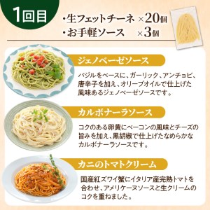 【3ヶ月 定期便】生フェットチーネ 20個 お手軽 ソース 3個付き  K036-T08 生パスタ パスタ スパゲティ 生スパゲティ 麺 生麺 もちもち 生食感 お店の味 鹿児島市 定期便