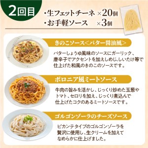 【3ヶ月 定期便】生フェットチーネ 20個 お手軽 ソース 3個付き  K036-T08 生パスタ パスタ スパゲティ 生スパゲティ 麺 生麺 もちもち 生食感 お店の味 鹿児島市 定期便