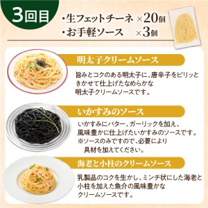 【3ヶ月 定期便】生フェットチーネ 20個 お手軽 ソース 3個付き  K036-T08 生パスタ パスタ スパゲティ 生スパゲティ 麺 生麺 もちもち 生食感 お店の味 鹿児島市 定期便