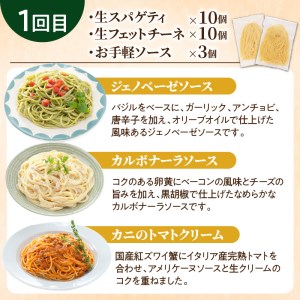 【3ヶ月 定期便】生スパゲティ 10個 × 生フェットチーネ 10個 お手軽 ソース 3個 付き  K036-T09 生パスタ パスタ スパゲティ 生スパゲティ 麺 生麺 もちもち 生食感 お店の味 鹿児島市 定期便