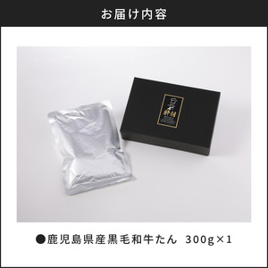 【洋食グリル肝付】自慢の鹿児島県産黒毛和牛タン レトルトシチュー K084-002 薩摩 さつま 鹿児島県 鹿児島市 鹿児島 大人気レトルト 人気レトルト 大人気シチュー 人気シチュー 大人気牛タン 人気牛タン レトルト シチュー 牛タン 黒毛和牛 牛肉 牛 ブラウンシチュー 国産 国産牛 和牛 デミグラスソース 洋食 お取り寄せ グルメ おかず 惣菜 お惣菜 簡単