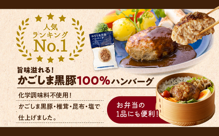 【 岩元精肉店 】鹿児島県産 贅沢 お惣菜 詰合せ セット A K045-009 バラエティ かごしま黒豚 黒豚 ハンバーグ 炙り焼き 薄切り 味噌 味噌漬け お肉屋さん お惣菜 おかず お弁当 簡単調理 鹿児島市 送料無料 おすすめ ランキング プレゼント ギフト 冷凍