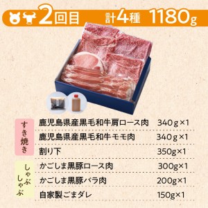 【岩元精肉店】鹿児島県産黒毛和牛・かごしま黒豚　お楽しみ2か月お届けコース　K045-T02 薩摩 さつま 鹿児島県 鹿児島市 鹿児島 大人気ハンバーグ 人気ハンバーグ 大人気豚肉 人気豚肉 大人気黒豚 人気黒豚 大人気惣菜 人気惣菜 炙り焼き ハンバーグ 豚肉 豚 黒豚 かごしま黒豚 黒ぶた 惣菜 黒毛和牛 牛肉 しゃぶしゃぶ すき焼き