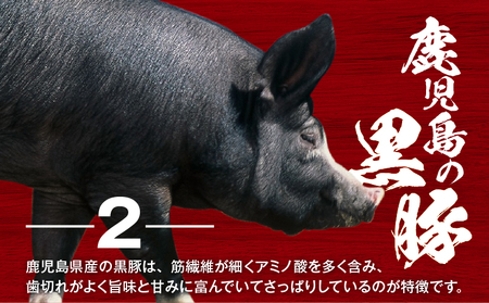 鹿児島県産 黒豚 丼 の 素 1.2kg K025-003_01 鹿児島黒豚 鹿児島県産黒豚 丼の素 黒豚丼 お肉 国産 人気 豚 豚肉 黒ぶた ポーク 美味しい セット お弁当 おかず ごはん かけるだけ 簡単調理 かんたん 食品 ミヤタ ふるさと納税 鹿児島 おすすめ ランキング プレゼント ギフト