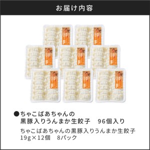 ちゃこばあちゃんの黒豚入りうんまか生餃子 96個入り K027-002 薩摩 さつま 大人気餃子 人気餃子 鹿児島産餃子 鹿児島県産餃子 餃子三昧 餃子セット 大人気黒豚 人気黒豚 鹿児島産黒豚 鹿児島県産黒豚 お弁当 おかず キャンプ アウトドア グランピング 手土産 点心 中華 中華料理 飲茶 黒豚入り餃子 生餃子 ちゃこばあちゃん 焼き餃子 水餃子