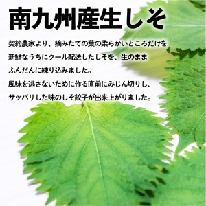 ちゃこばあちゃんの黒豚入りうんまか・しそ生餃子 計84個入り K027-005 薩摩 さつま 大人気餃子 人気餃子 鹿児島産餃子 鹿児島県産餃子 餃子三昧 餃子セット しそ 紫蘇 しそ生餃子 しそ餃子 大人気黒豚 人気黒豚 鹿児島産黒豚 鹿児島県産黒豚 お弁当 おかず キャンプ 点心 中華 中華料理 飲茶 黒豚入り餃子 生餃子 ちゃこばあちゃん 焼き餃子 水餃子