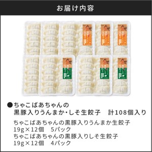 ちゃこばあちゃんの黒豚入りうんまか・しそ生餃子 計108個入り K027-006 薩摩 さつま 大人気餃子 人気餃子 鹿児島産餃子 鹿児島県産餃子 餃子三昧 餃子セット しそ 紫蘇 しそ生餃子 しそ餃子 大人気黒豚 人気黒豚 鹿児島産黒豚 鹿児島県産黒豚 お弁当 おかず キャンプ 点心 中華 中華料理 飲茶 黒豚入り餃子 生餃子 ちゃこばあちゃん 焼き餃子 水餃子