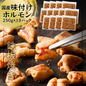 【 ナンチクファクトリー 】 国産豚 味付けホルモン 3.2kg 以上（F） K073-007 送料無料 鹿児島市 もつ ホルモン モツ ほるもん 国産 豚 味付き 加工肉 加工品 惣菜 おかず 食品 時短 焼くだけ おすすめ ギフト プレゼント 焼肉 BBQ キャンプ 小分け 大容量 ボリューム ナンチク