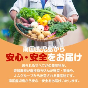 【JA直売所セレクト】旬鮮野菜・果物セット（12～14品目） K072-001 薩摩 さつま 鹿児島県 鹿児島市 鹿児島 大人気野菜 人気野菜 野菜セット 野菜詰合せ 大人気果物 人気果物 果物セット 果物詰合せ 野菜 果物 旬 新鮮 旬鮮 JAグループ 南国 特産品 お野菜 やさい くだもの フルーツ ギフト 贈り物 プレゼント 御歳暮 お歳暮 詰め合わせ セット 農産物 果実