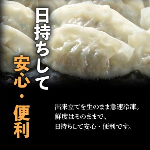 鹿児島黒豚100％餃子 48個入り K027-008 薩摩 さつま 大人気餃子 人気餃子 鹿児島産餃子 鹿児島県産餃子 餃子三昧 餃子セット 大人気黒豚 人気黒豚 鹿児島産黒豚 鹿児島県産黒豚 お弁当 おかず キャンプ アウトドア グランピング ギフト 贈答品 贈答用 プレゼント おすそ分け おすそわけ お裾分け 手土産 点心 中華 中華料理 飲茶 黒豚入り餃子