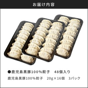 鹿児島黒豚100％餃子 48個入り K027-008 薩摩 さつま 大人気餃子 人気餃子 鹿児島産餃子 鹿児島県産餃子 餃子三昧 餃子セット 大人気黒豚 人気黒豚 鹿児島産黒豚 鹿児島県産黒豚 お弁当 おかず キャンプ アウトドア グランピング ギフト 贈答品 贈答用 プレゼント おすそ分け おすそわけ お裾分け 手土産 点心 中華 中華料理 飲茶 黒豚入り餃子