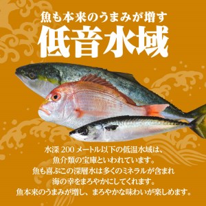 こしき海洋深層水仕立て塩干物詰合せ K065-002 薩摩 さつま 鹿児島県 鹿児島市 鹿児島 大人気干物 人気干物 干物セット 干物詰合せ 大人気塩干物 人気塩干物 塩干物セット 塩干物詰合せ 大人気魚 人気魚 魚セット 魚詰合せ 干物 塩干物 魚 海産物 海の幸 魚介 焼き魚 アジ 鯵 あじ開き 鯖 さば 鯛 たい トビウオ キビナゴ きびなご 食べ比べ おかず おつまみ