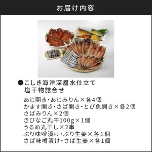 こしき海洋深層水仕立て塩干物詰合せ K065-002 薩摩 さつま 鹿児島県 鹿児島市 鹿児島 大人気干物 人気干物 干物セット 干物詰合せ 大人気塩干物 人気塩干物 塩干物セット 塩干物詰合せ 大人気魚 人気魚 魚セット 魚詰合せ 干物 塩干物 魚 海産物 海の幸 魚介 焼き魚 アジ 鯵 あじ開き 鯖 さば 鯛 たい トビウオ キビナゴ きびなご 食べ比べ おかず おつまみ