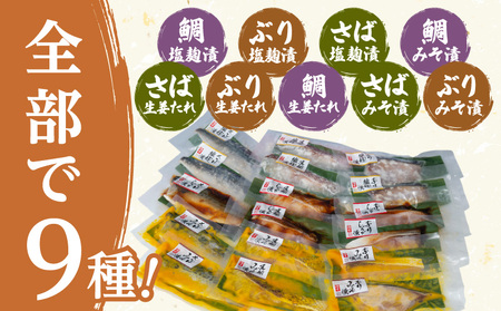 【海幸】 漬け魚 9種 詰め合わせ (FK-02) K065-005 魚 惣菜 総菜 冷凍