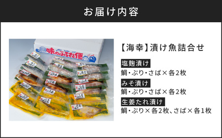 【海幸】 漬け魚 9種 詰め合わせ (FK-02) K065-005 魚 惣菜 総菜 冷凍