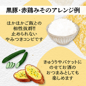 ヒシク 藤安醸造 黒豚赤鶏みそ二点セット K026-004 薩摩 さつま 大人気みそ 人気みそ 鹿児島産みそ 鹿児島県産みそ みそセット おかずみそ 大人気味噌 人気味噌 鹿児島産味噌 鹿児島県産味噌 味噌セット おかず味噌 大人気豚みそ 人気豚みそ 鹿児島産豚みそ 鹿児島県産豚みそ 黒豚 黒ぶた 赤鶏 鶏味噌 赤鶏みそ 鶏みそ ヒシク 藤安醸造