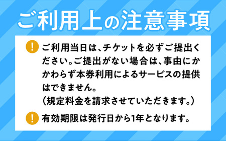 鹿児島市内めぐり3時間コース（ジャンボタクシー）9名様まで　K192-FT003 薩摩 さつま 鹿児島観光 鹿児島市観光 タクシーチケット タクシー トラベル 旅 旅クーポン クーポン 観光タクシー 鹿児島市 鹿児島市内 市内観光 旅行 チケット 利用券 タクシー利用券 ドライバー ベテランドライバー 送迎 コース プライベート