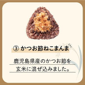 9種 から 選べる ！  冷凍 玄米 おむすび 5個 入り ③ かつお節 ねこまんま K182-005_03 薩摩 さつま 大人気玄米 人気玄米 鹿児島産玄米 鹿児島県産玄米 大人気おむすび 人気おむすび 鹿児島産おむすび 鹿児島県産おむすび 大人気おにぎり 人気おにぎり 鹿児島産おにぎり 鹿児島県産おにぎり 冷凍玄米 冷凍おむすび 冷凍おにぎり 黒米 米 小分け もちもち