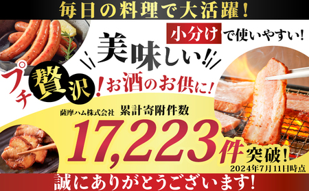 ふるさと納税 下関市 訳あり ベーコンスライス 1.7kg (100g×17パック