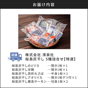 桜島灰干し 5種詰合せ【特選】 K178-002 薩摩 さつま 鹿児島県 鹿児島市 鹿児島 大人気干物 人気干物 鹿児島産干物 鹿児島県産干物 干物三昧 干物セット 干物詰合せ 魚 塩干物 干物 ひもの 焼き魚 焼魚 桜島 さくらじま 火山灰 火山 灰 天日干し 手作業 手仕事 手作り のどぐろ ノドグロ アカムツ あかむつ 甘鯛 アマダイ あまだい 鯛 タイ 鯖 サバ イカ サーモン