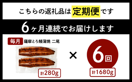 【全6回定期便】薩摩とろ鰻蒲焼二尾 K190-T01 薩摩 さつま 鹿児島県 鹿児島市 鹿児島 大人気うなぎ 人気うなぎ 鹿児島産うなぎ 鹿児島県産うなぎ 大人気ウナギ 人気ウナギ 鹿児島産ウナギ 鹿児島県産ウナギ 大人気鰻 人気鰻 鹿児島産鰻 鹿児島県産鰻 鰻丼 うな丼 蒲焼 蒲焼き かば焼き 土用 丑の日 土用の丑の日 国産 国内産 日本産