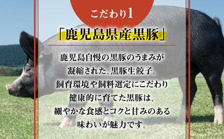 鹿児島黒豚使用の黒豚バラエティ生餃子 K202-002 鹿児島市 薩摩 大人気餃子 人気餃子 大人気ぎょうざ 人気ぎょうざ 人気ギョーザ 大人気黒豚 人気黒豚 大人気黒豚餃子 人気黒豚餃子 餃子 ぎょうざ ギョーザ 黒豚餃子 生餃子 水餃子 焼き餃子 蒸し餃子 鹿児島黒豚 黒豚 豚肉 国産豚 豚 パック 小分け 加工食品 惣菜 おかず アレンジレシピ 冷凍 便利 簡単調理