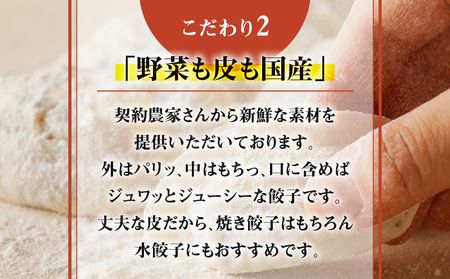 鹿児島黒豚使用の黒豚バラエティ生餃子 K202-002 鹿児島市 薩摩 大人気餃子 人気餃子 大人気ぎょうざ 人気ぎょうざ 人気ギョーザ 大人気黒豚 人気黒豚 大人気黒豚餃子 人気黒豚餃子 餃子 ぎょうざ ギョーザ 黒豚餃子 生餃子 水餃子 焼き餃子 蒸し餃子 鹿児島黒豚 黒豚 豚肉 国産豚 豚 パック 小分け 加工食品 惣菜 おかず アレンジレシピ 冷凍 便利 簡単調理