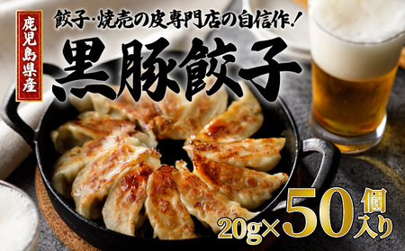 餃子 ・ 焼売 の皮 専門店の自信作！ 鹿児島県産 黒豚 餃子 K033-002 中華 惣菜 総菜 レトルト 冷凍食品 加工食品