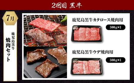 鹿児島 黒牛 ・ 黒豚 定期便 （ 全3回 ） K127-T02 肉 牛 豚 ブランド牛 和牛 国産 すき焼き しゃぶしゃぶ ステーキ 焼肉 バラ カタ ロース ウデ スライス サーロイン とんかつ 定期 配送 JA 経済連