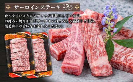 【 訳あり 】A5 等級 鹿児島県産 黒毛和牛 サーロイン ステーキ（ スティック ）500g K002-030 牛 牛肉 カット済 冷凍 小分け 鹿児島 国産 日本産 和牛 カミチク