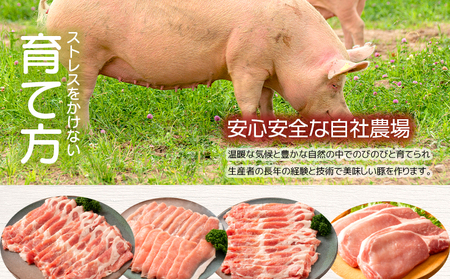 鹿児島県産 豚 バラエティ セット 2.51kg ＋ 生餃子 2P 　K208-014 肉 ブランド豚 完熟豚 南国 スイート 肩 ロース バラ 小間切れ スライス 薄切り しゃぶしゃぶ 味噌漬け 味付き肉 餃子 冷凍 加工食品