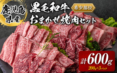 鹿児島県産 黒毛和牛 おまかせ 焼肉 600g  K208-015 肉 牛 希少 部位 厳選 ミスジ 三角バラ ショートリブ フランク カイノミ 小分け 冷凍