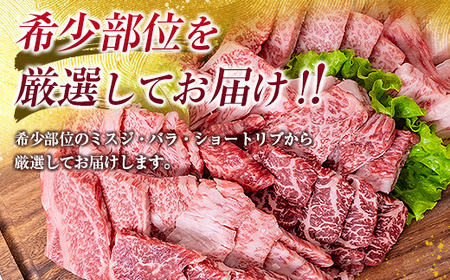 鹿児島県産 黒毛和牛 おまかせ 焼肉 600g  K208-015 肉 牛 希少 部位 厳選 ミスジ 三角バラ ショートリブ フランク カイノミ 小分け 冷凍