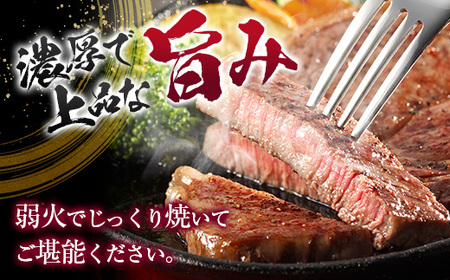 鹿児島県産 黒毛和牛 ロース ステーキ 360g  K208-016 肉 牛 サシ さっぱり 柔らかい ステーキ丼 冷凍