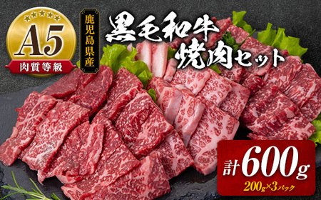 A5 等級 鹿児島県産 黒毛和牛 焼肉 セット  K208-018 肉 牛 国産 霜降り 赤身 食べ比べ 脂身 カルビ モモ カタ 冷凍 小分け 便利