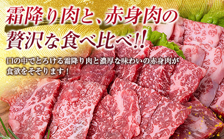 A5 等級 鹿児島県産 黒毛和牛 焼肉 セット  K208-018 肉 牛 国産 霜降り 赤身 食べ比べ 脂身 カルビ モモ カタ 冷凍 小分け 便利