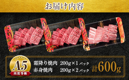 A5 等級 鹿児島県産 黒毛和牛 焼肉 セット  K208-018 肉 牛 国産 霜降り 赤身 食べ比べ 脂身 カルビ モモ カタ 冷凍 小分け 便利