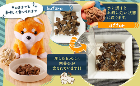 【 増量 】 犬用 鹿肉 フリーズドライ （ 23g ） K223-001 国産 日本製 愛犬 ペット ペットフード ドッグフード おやつ フリーズドライ FD ジャーキー 加工品 無添加 添加物不使用