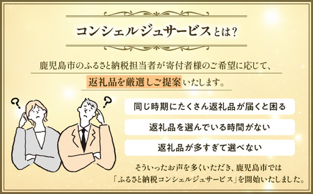 コンシェルジュ プラン 寄付額 10万円 コース K000-CP010 おまかせ オーダーメイド 相談 人気 詰め合わせ 食品 お取り寄せ グルメ 肉 牛 豚 鶏 鰻 白熊 かるかん 切子 調味料 醤油 茶 鹿児島