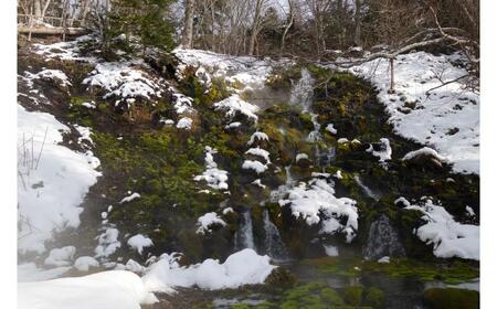 オーダーメイドツアーチケット（30,000円分）【足寄町/Slow Travel HOKKAIDO】 北海道旅行 足寄旅行 [BEAY006]