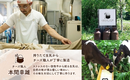 北海道 訳あり チーズ  ハードタイプ 幸 1kg ナチュラルチーズ 放牧牛 生乳 ミルク 乳製品 発酵 熟成 国産 おつまみ チーズコンテスト グラタン フォンデュ ワイン 冷蔵 わけあり 訳アリ しあわせチーズ工房 送料無料足寄