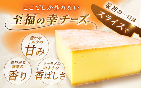 ＼TVで話題／北海道 チーズ 幸 個包装 計1kg（各約100g×9~11個前後）《足寄町》[BEAK015]