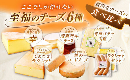＼TVで話題／【全6回定期便】北海道 チーズ 6種《足寄町》[BEAK030]