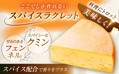 ＼TVで話題／北海道 スパイスラクレット 1/4ホール（1.25kg）《足寄町》【しあわせチーズ工房】 [BEAK032]