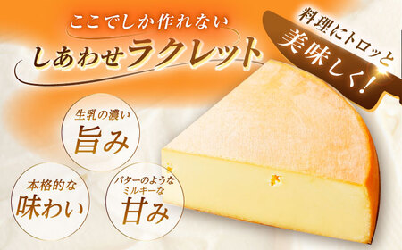 ＼TVで話題／北海道 しあわせラクレット個包装500g（個包装4〜6個）《足寄町》【しあわせチーズ工房】 [BEAK005]