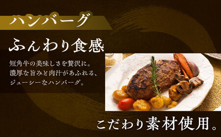 北海道 北十勝 短角牛 ハンバーグ 160g×3個《足寄町》【北十勝ファーム】[BEAI004]